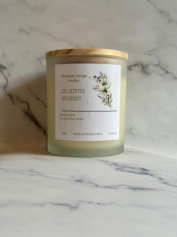 Eucalyptus Spearmint Soy Candle