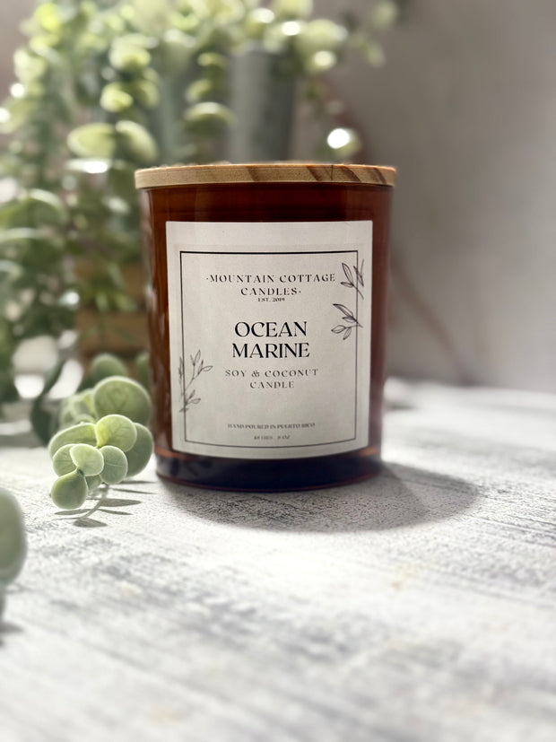 Ocean Marine  Soy & Coconut Candle